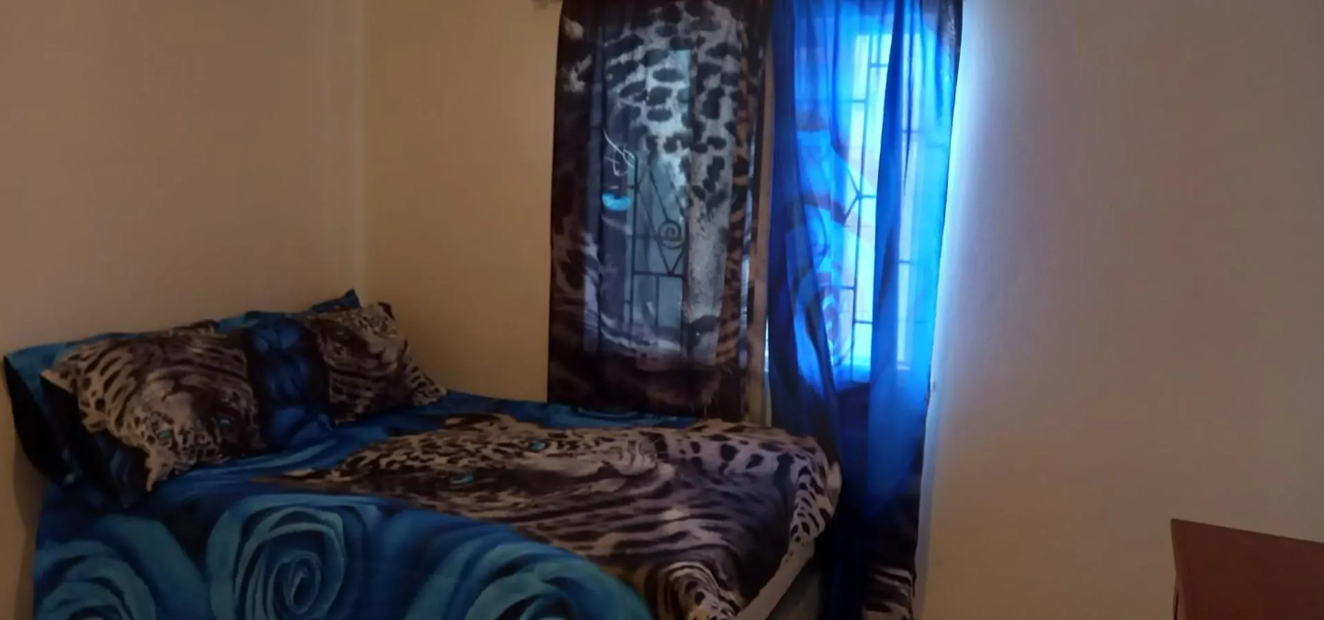 3 Bedrooms Rentals In Port Morant St Thomas Belfast 0*,
